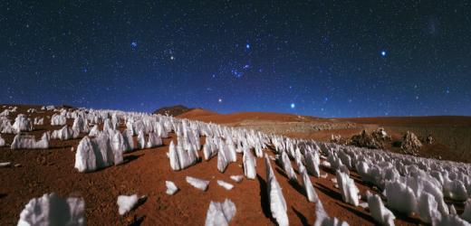 NYU Shanghai Scientist Participates in Breakthrough in the Understanding of Stone Forests