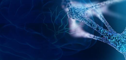 Neuroscience + Mathematics: Better Understanding How We Learn and Memorize