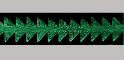 Inspired by the Flapping Wings of a Bird: Invention of a New Ratchet Pump