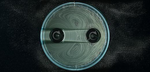 Scientists Put Teeth Into Water-Driven Gears