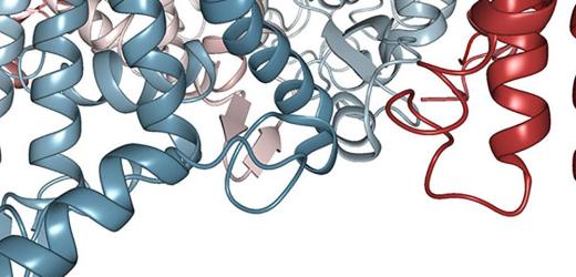 Center Faculty Awarded Grants to Fund Various Research Projects