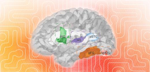 Speaking as a Window for Understanding, Developing, and Healing the Brain