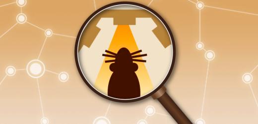 NYU Shanghai Faculty Research: Rapid Executive Control of Behavior in the Rat